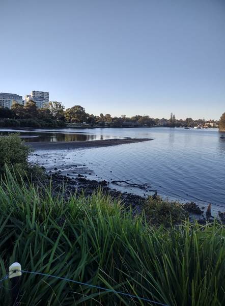 A body of water with grass and trees around it

Description automatically generated with medium confidence